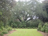 Wavering Place 6